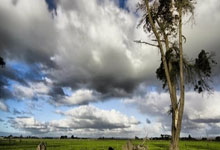 [棋牌]第十九届倡棋杯预选赛结束 复赛28日开战.