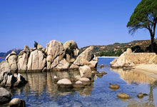 蓝鲸体育：英媒：斯维拉尔不满意罗马的续约报价，切尔西、曼城对他最感兴趣.